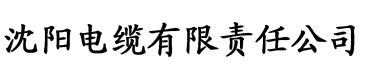 91香蕉在线电缆厂logo